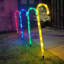 Indoor / Outdoor Luminary & Pathway Lights