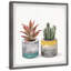 Succulent Pair by Parvez Taj - Single Picture Frame Painting-1819574644