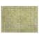 Machine Washable Indoor/Outdoor Claudian ACN1646 Cactus Rug