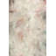 Pemanent Rosette Print by Samuel Kane-25820567-25820568
