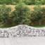 Briane with 15 Panel(s) Included-448577744