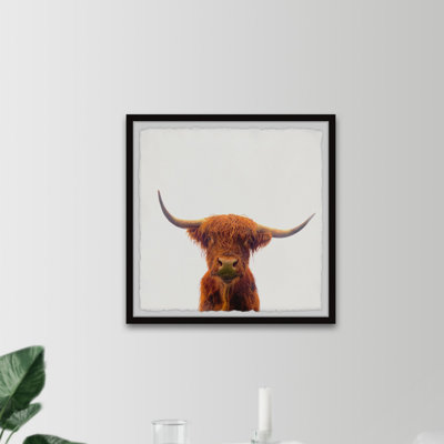 " The Orange Buffalo "