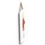 Carley Wall Decor