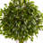 6ft. Ficus Artificial Topiary Tree, UV Resistant (Indoor/Outdoor)