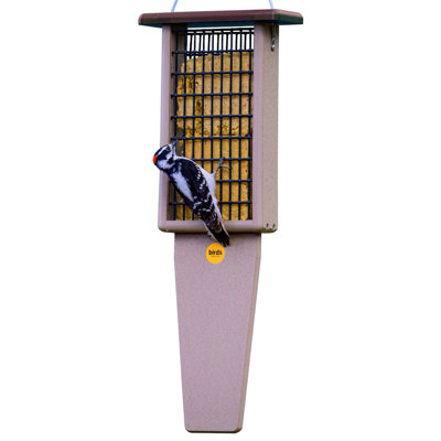 Mangeoire à queue en forme de gâteau 22,5 po Birds Choice, taupe / vert