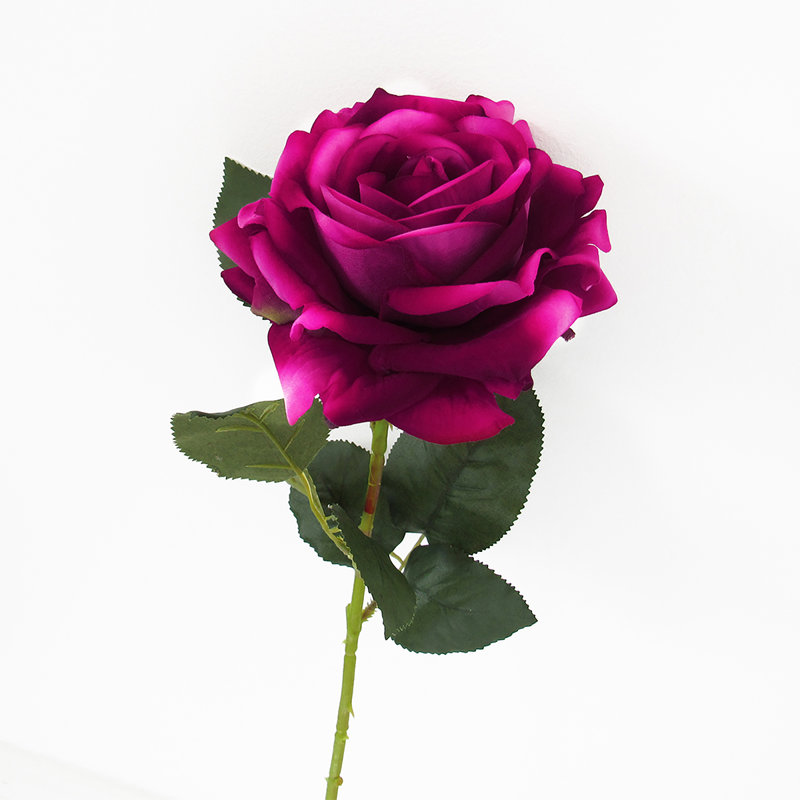 Grandes tiges roses en velours, Beauté rose
