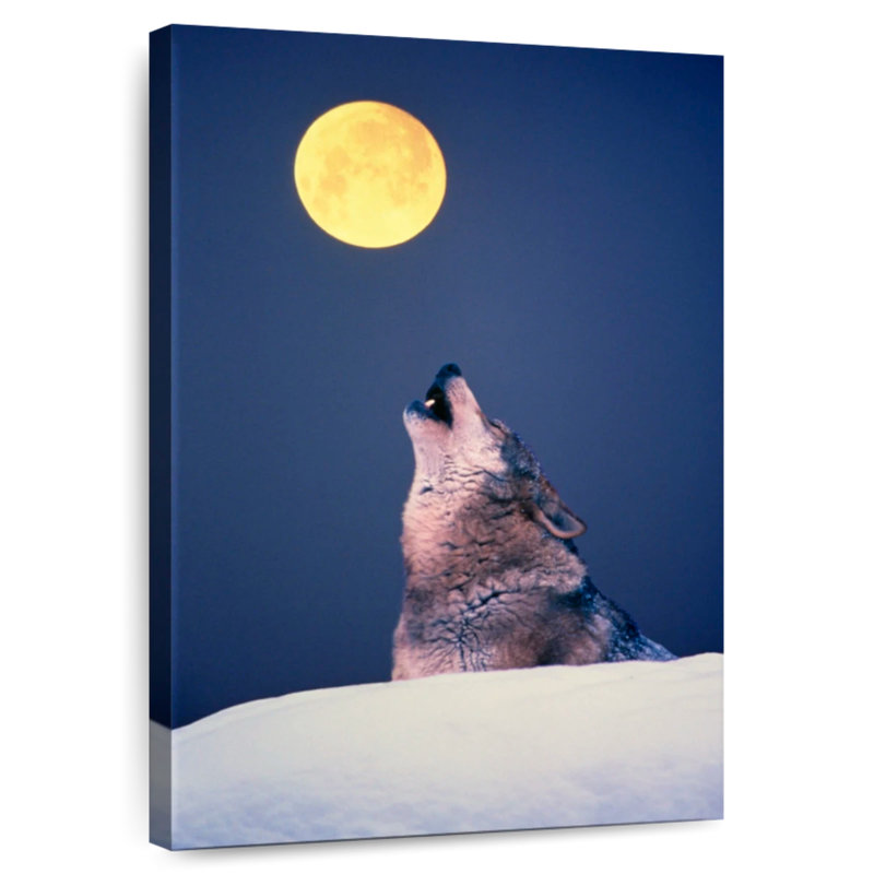 Brampt Wolf Calling The Pack, 30" H x 20" W