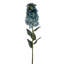 Hydrangea Stem-1909372772