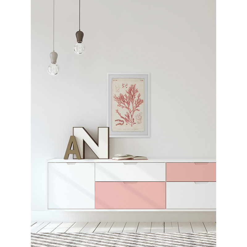 Corail antique, reproduction de photo encadrée sur papier, H 24 po x l 16 po x P 1,5 po, Cadre blanc
