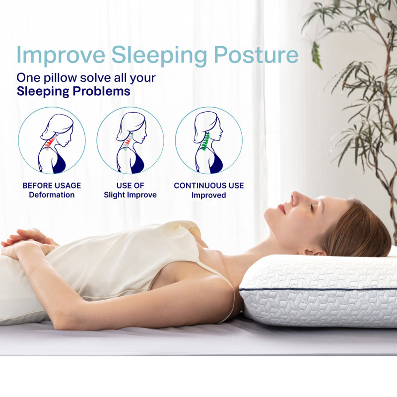 Hixon 2-Pack Plush Gel Memory Foam Pillows with Breathable Bamboo Cover, King