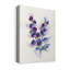 «Pretty in Purple I» par Nan - reproduction d'art sur toile tendue-2128885924