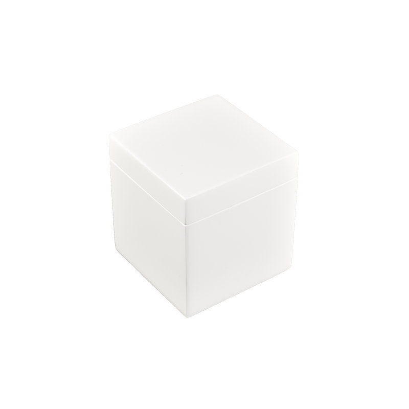 Contenant de rangement en coton-tige, Blanc