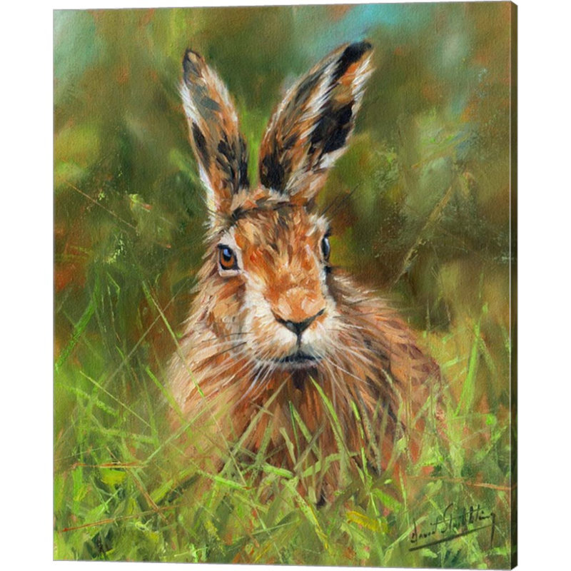 «Hare 2» par David Stribble - peinture sur toile tendue