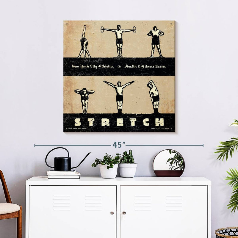 Sirci Stretch I, H 30 po x l 30 po