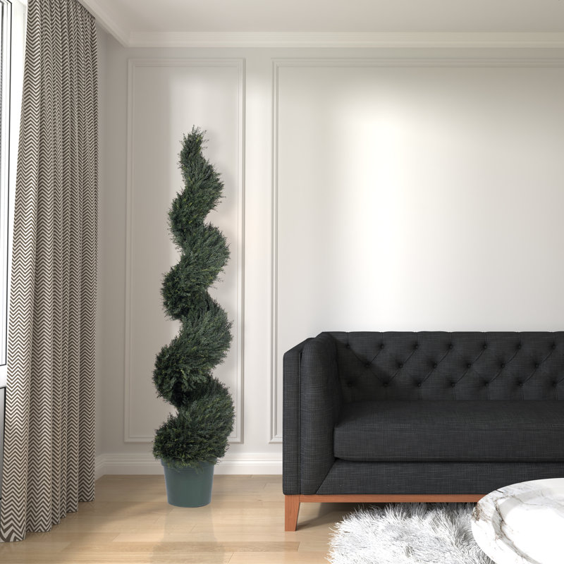 Topiaire cypress de plancher uv pond