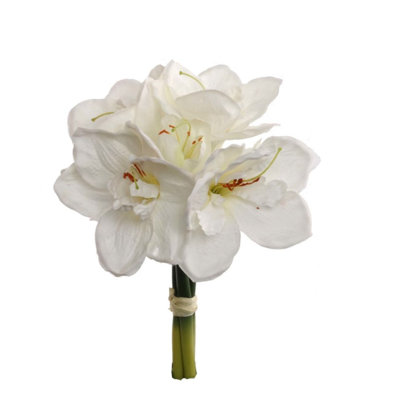 Arrangement floral Romero Amaryllis