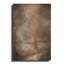  'Antique Landscape' by Ashley Bradley Metal Wall Art-786600447