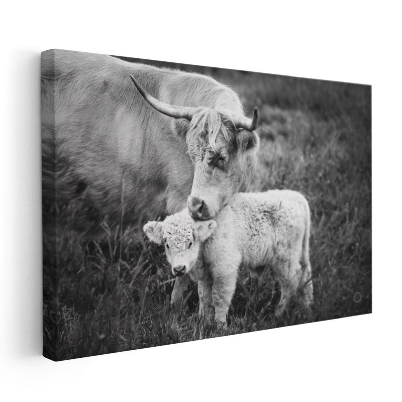 «Cow Care Black and White», reproduction d'art sur toile, H 12 po x l 18 po