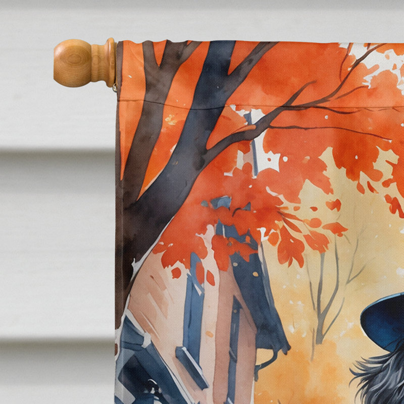 Drapeau de maison Weimaraner, Bernedoodle