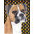 Boxer (blanc et noir)