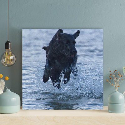 Labrador retriever noir qui court sur l'eau pendant la journée - Reproduction d'art graphique rectangulaire sur toile tendue 1 pièce