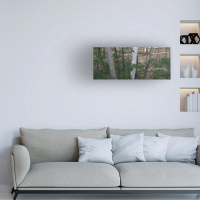 Art sur toile Marcus