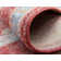Rosamonde Abstract Indoor Rug