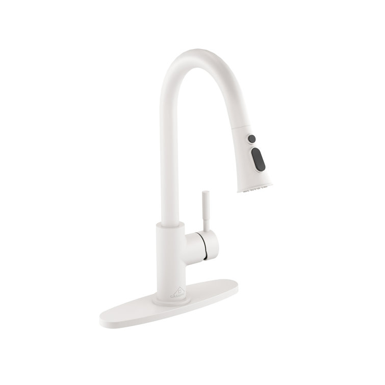 Pull Down Sprayer Kitchen Faucet with Dual-Function Sprayer and Deck Plate in Spot-Free