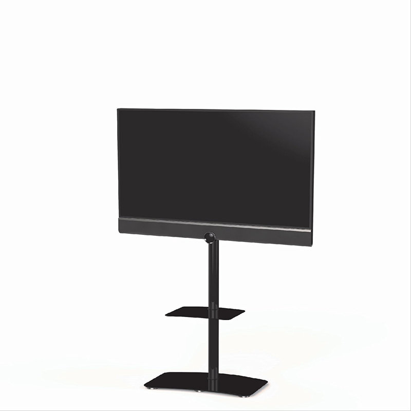 Vicis Trading Single Screen Floor Stand Mount, Black