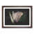 Walnut Framed selected