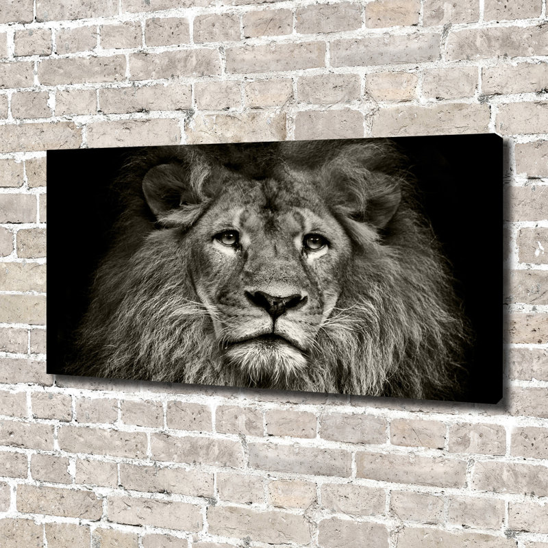 Lion - Wrapped Canvas Print