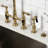 Trimscape Garbage Disposal Air Switch