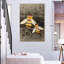 Brampt Bee Charmer II-108599204