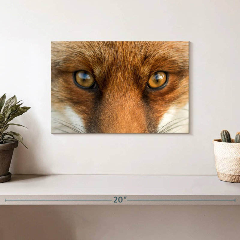 Amber Eyed Fox, 8" H x 12" W