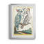 Oiseaux pastel I - reproduction de cadre photo-1159876326-1159876320