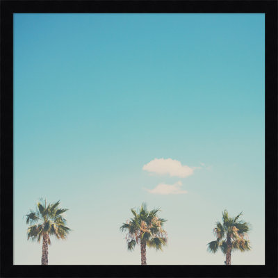 A Trio Of Palm Trees by Laura Evans