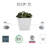 Pot Planter-1389687179-1389687171