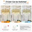 Chandelier-580926027-580926069