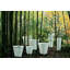 Newpot Planter-124217267