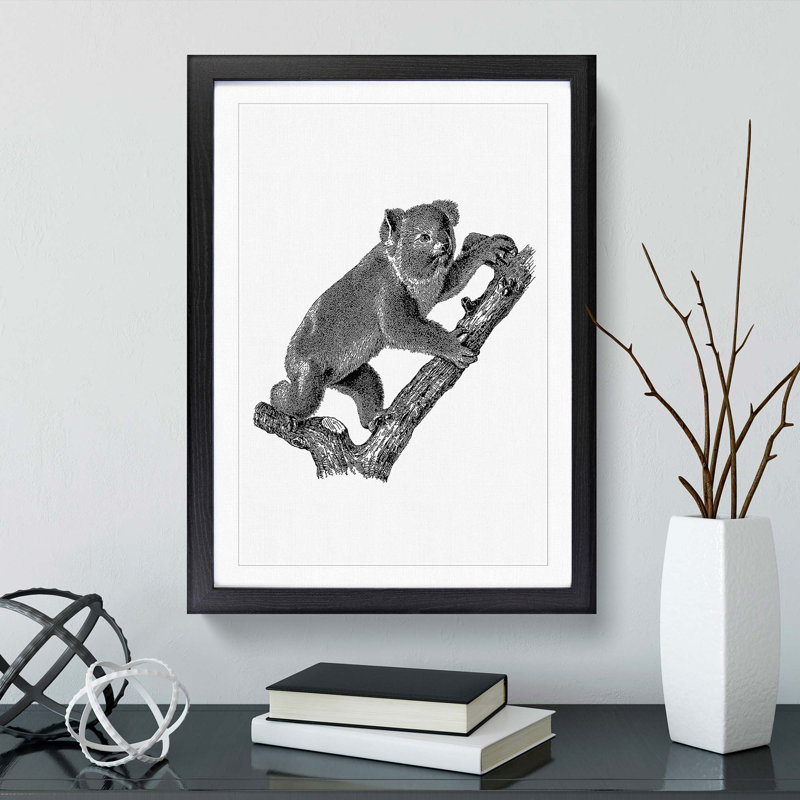 Koala Bear Illustration in Black & White - Framed Print, 48cm H x 36cm W x 2cm D, Black Framed