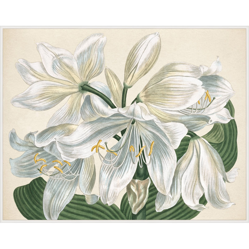 White Blooms 2' Framed Print on Canvas