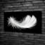 Feather - Wrapped Canvas Print