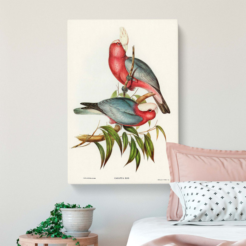 Rose-Breasted Cockatoos by Elizabeth Gould - Wrapped Canvas, 60cm H x 40cm W x 3cm D