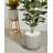 Langport Handmade Pot Planter-2040890275-2040890273
