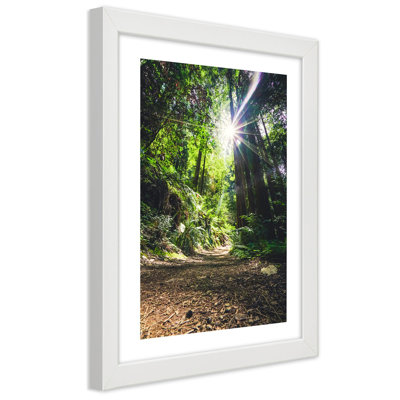 Jungle Forest Nature Green - Single Picture Frame Print