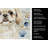 Cream Pekingese Coastal Sea Glass Kitchen Towel-871464307