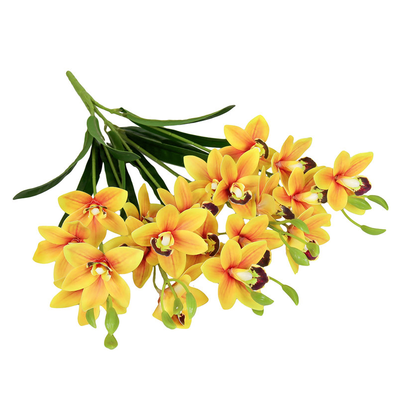 Tige d'orchidée, Jaune