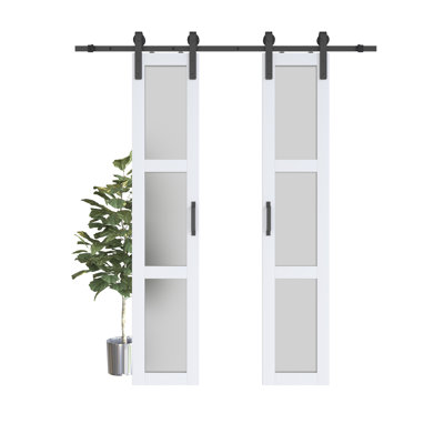 Double Sliding Glass Barn Door with Installation Hardware Kit