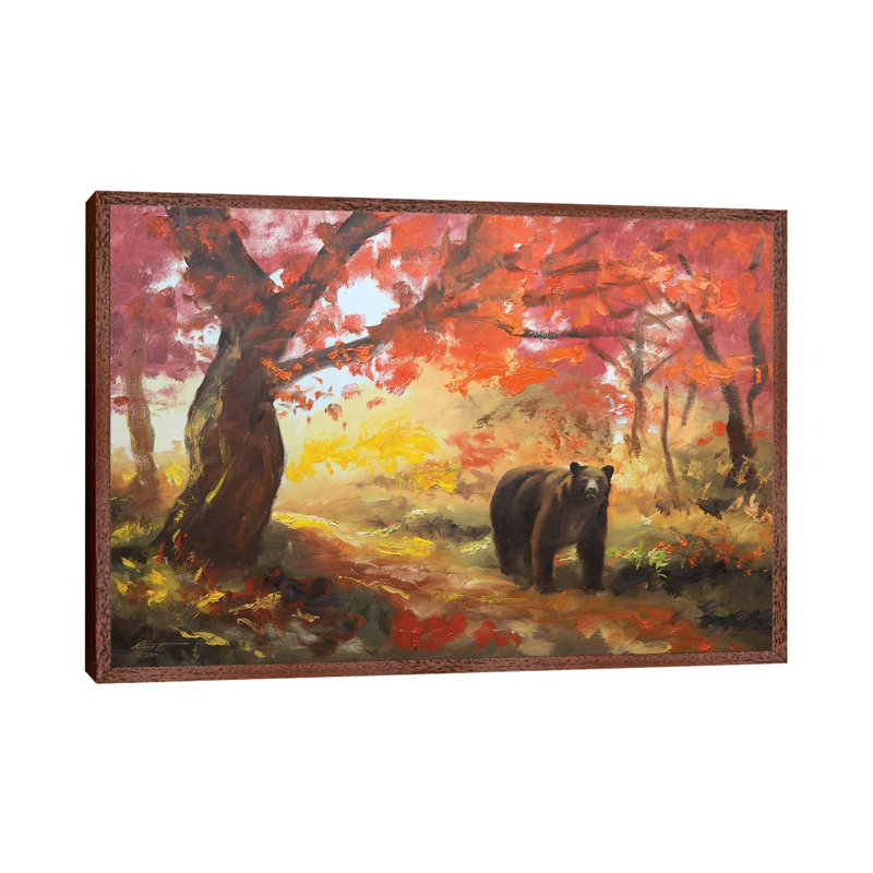 Bear, Brown
