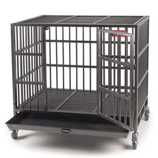 Caisse pour animaux